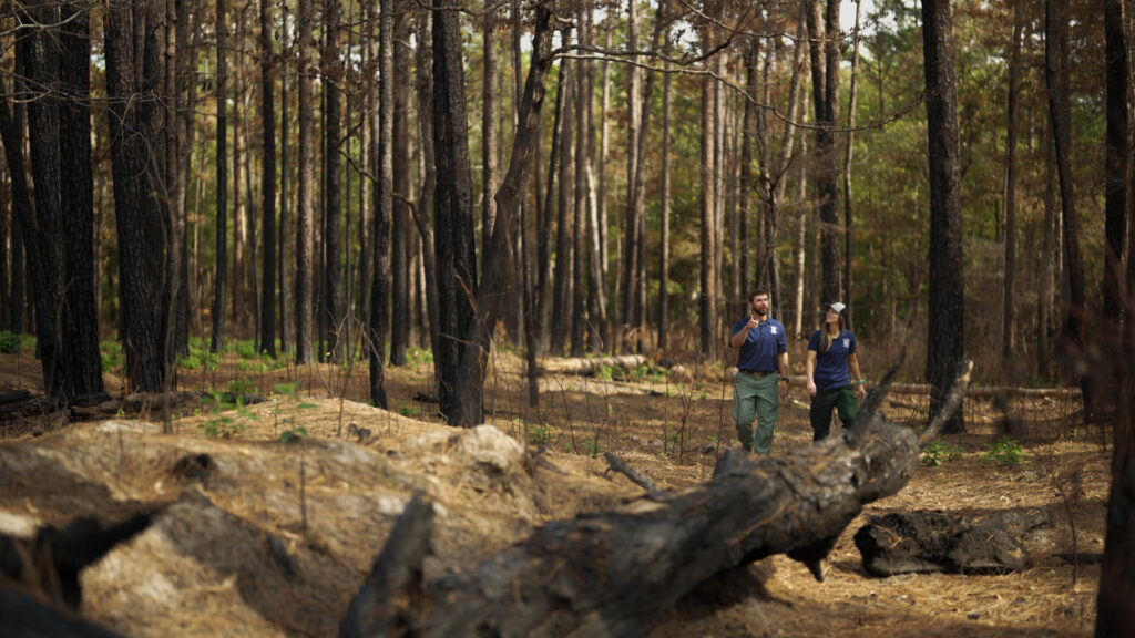 Two government employees walking through the forest